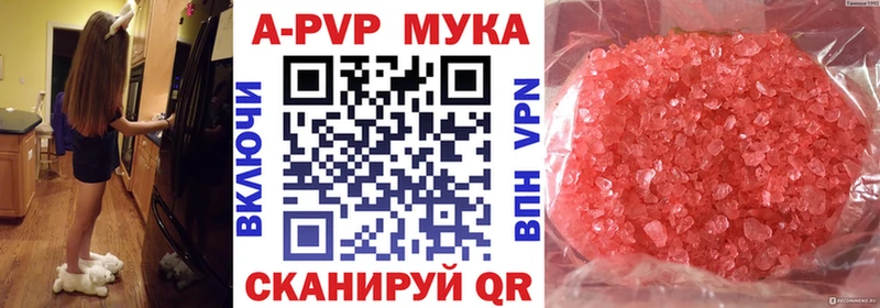 ссылка на мегу как зайти  Ярославль  Alfa_PVP СК КРИС 