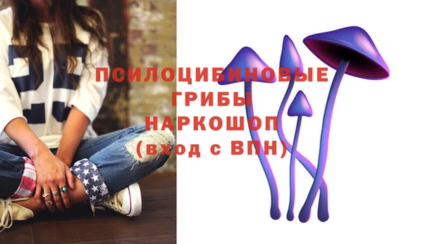 альфа пвп Горнозаводск