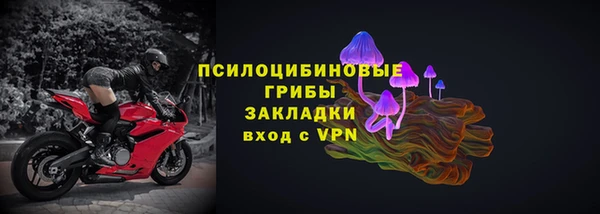 прущая мука Горняк