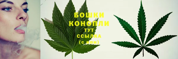 крисы Вязники