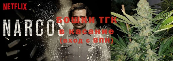 альфа пвп Горнозаводск