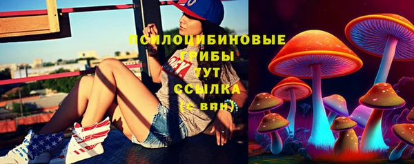 дживик Горно-Алтайск