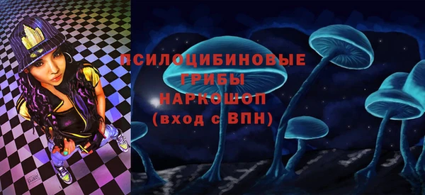 прущая мука Горняк