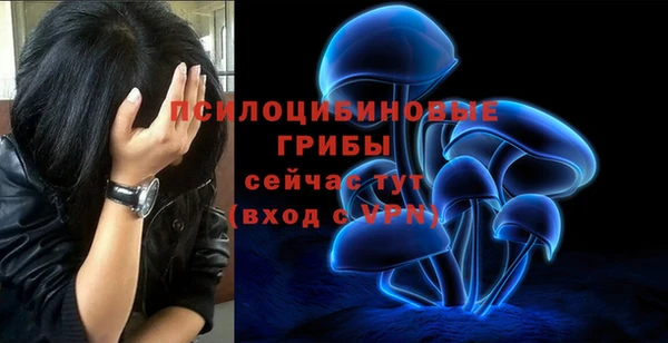 альфа пвп Горнозаводск