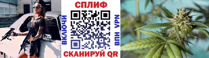 кракен маркетплейс  Ярославль  Каннабис Amnesia 
